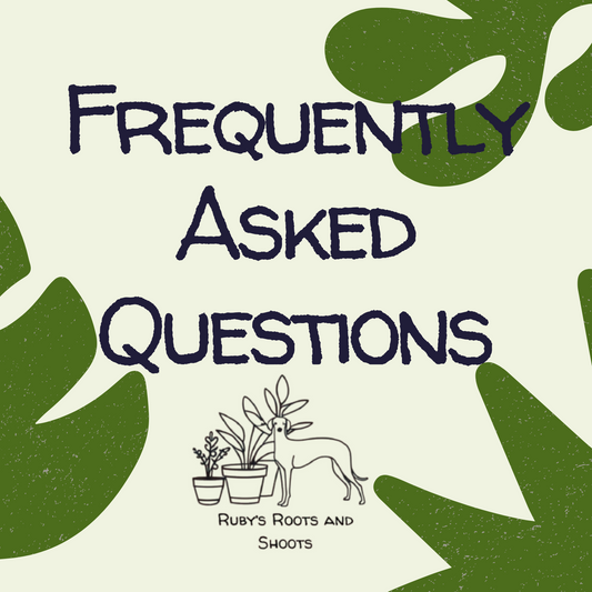 *INFO* Frequently Asked Questions