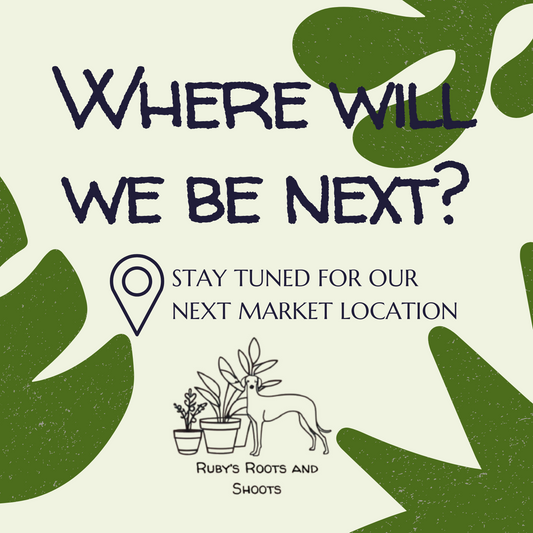 *INFO* Our Upcoming Markets